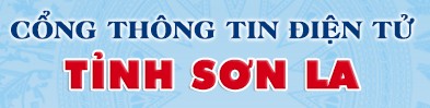 Ảnh cột phải 9